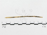 登錄號:F0011676藏品圖，第1張