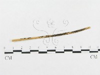 登錄號:F0011676藏品圖，第4張