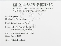 登錄號:F0011677藏品圖，第2張