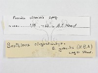 登錄號:F0011677藏品圖，第4張