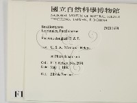 登錄號:F0011678藏品圖，第2張
