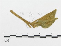 登錄號:F0011679藏品圖，第1張