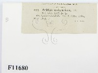 登錄號:F0011680藏品圖，第2張