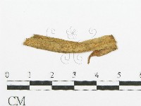 登錄號:F0011680藏品圖，第1張