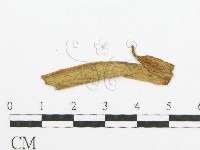 登錄號:F0011680藏品圖，第4張