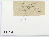 登錄號:F0011681藏品圖，第2張