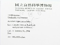 登錄號:F0011681藏品圖，第3張