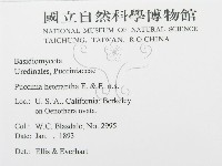 登錄號:F0011682藏品圖，第2張