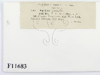 登錄號:F0011683藏品圖，第2張