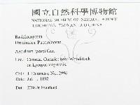 登錄號:F0011683藏品圖，第3張