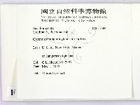 登錄號:F0011684藏品圖，第2張
