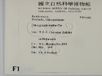 登錄號:F0011686藏品圖，第2張