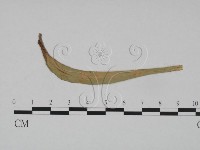 登錄號:F0011686藏品圖，第1張
