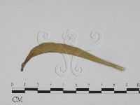 登錄號:F0011686藏品圖，第3張