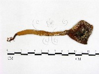 登錄號:F0011687藏品圖，第1張