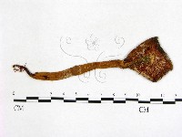 登錄號:F0011687藏品圖，第3張
