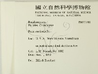 登錄號:F0011688藏品圖，第2張