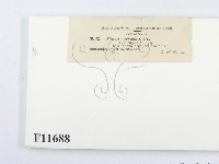 登錄號:F0011688藏品圖，第3張