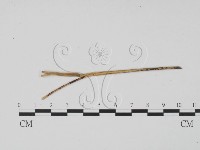 登錄號:F0011689藏品圖，第1張