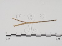 登錄號:F0011689藏品圖，第3張