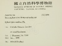 登錄號:F0011690藏品圖，第2張