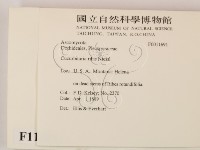 登錄號:F0011691藏品圖，第2張