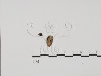 登錄號:F0011692藏品圖，第1張