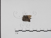 登錄號:F0011693藏品圖，第1張