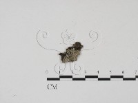登錄號:F0011694藏品圖，第1張