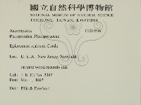 登錄號:F0011696藏品圖，第2張