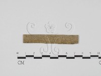 登錄號:F0011697藏品圖，第1張