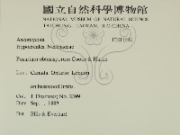 登錄號:F0011698藏品圖，第2張