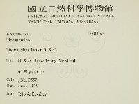 登錄號:F0011699藏品圖，第2張