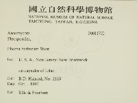登錄號:F0011700藏品圖，第2張