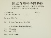 登錄號:F0011701藏品圖，第2張