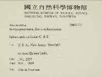登錄號:F0011702藏品圖，第2張