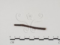 登錄號:F0011702藏品圖，第3張