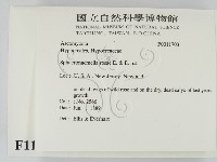 登錄號:F0011703藏品圖，第2張