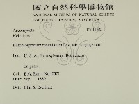 登錄號:F0011704藏品圖，第2張