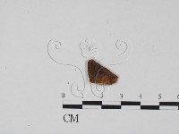 登錄號:F0011704藏品圖，第3張