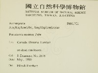 登錄號:F0011706藏品圖，第2張
