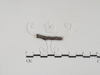 登錄號:F0011706藏品圖，第1張