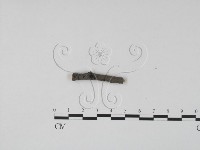 登錄號:F0011706藏品圖，第3張