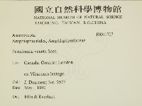 登錄號:F0011707藏品圖，第2張