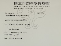 登錄號:F0011708藏品圖，第2張