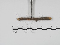 登錄號:F0011708藏品圖，第3張
