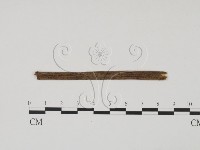 登錄號:F0011709藏品圖，第1張