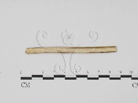 登錄號:F0011709藏品圖，第3張
