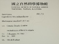 登錄號:F0011710藏品圖，第2張