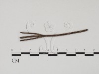 登錄號:F0011710藏品圖，第1張